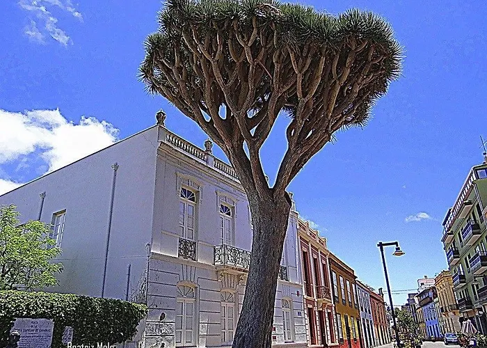 Belén La Laguna (Tenerife)