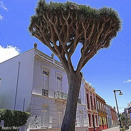 Belen לה לגונה